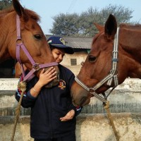 horse riding school logo - Similar company to Equine Guelph - The Centre For The Horse Owner At The University Of Guelph