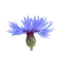 atkinvest logo - Similar company to Rifty