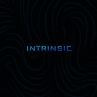 Intrinsic logo - Similar company to Intrinsic Tech