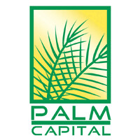 Palm Capital W.L.L. logo - Similar company to Hasbico