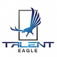 Talent Eagle LLC logo - Similar company to Mfg Leaders