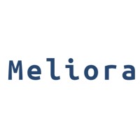 Meliora SA logo - Similar company to Broomsandmop
