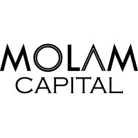 Molam Capital logo - Similar company to Finadem Technology