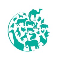 VetMedMan logo - Similar company to Vastvic