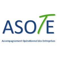 ASOTE - Management de Transition - Indépendant logo - Similar company to Capsight Management - Manager De Transition Industrie Et Technologies