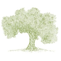 Olive Branch Management Services