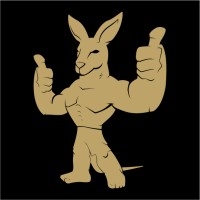 释动健身Stone Motion Fitness logo - Similar company to Tfa/The Fighter Academy