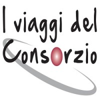 I Viaggi del consorzio logo - Similar company to Alemax Surl