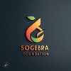 Sogebra Empowerment Foundation logo - Similar company to Optikkal Tech