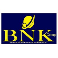 BNK Group Liberia logo - Similar company to Cnd Accountancy