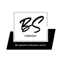 BS STRATEJİ VE DANIŞMANLIK logo - Similar company to Dubertas