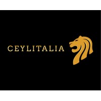 Ceylitalia logo - Similar company to Coregame Studios