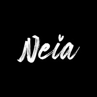 Neia logo - Similar company to Neia Software
