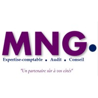 MNG Audit & Consulting logo - Similar company to Bakertilly Côte D'Ivoire