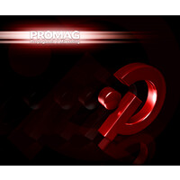 Promag Comunicação e Marketing logo - Similar company to Unimaximize Marketing Digital