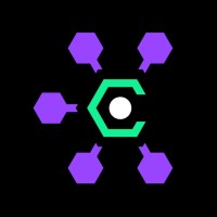 Copernicus Solutions logo - Similar company to Cannonball Run World Events And Garage