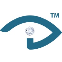 Insyht LLC logo - Similar company to Intrinsic Value Services