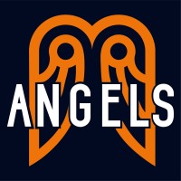 BDE ANGELS logo - Similar company to Bde Stellar
