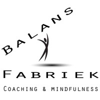 De Balansfabriek logo - Similar company to Vuurvrouw