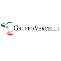 GRUPPO VERCELLI SPA logo - Similar company to Vercelli