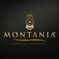 Montania Special Class Hotel logo - Similar company to Pi̇rge