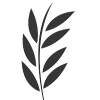 Trellis Vine Consulting logo - Similar company to Movers Consulting Group