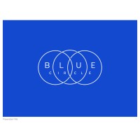 BLUE CIRCLE CONSULTING LIMITED logo - Similar company to Who Did You Help Today?