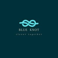Blue Knot logo - Similar company to Numedes