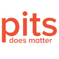 Pits Global Veri Kurtarma Hizmetleri - Türkiye logo - Similar company to Pits Data Recovery