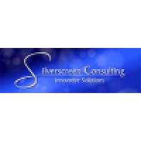 Silverscreen Consulting logo - Similar company to Silverscreen