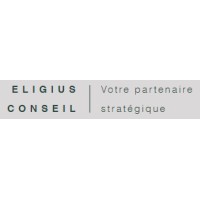 Eligius Conseil logo - Similar company to Vanguard Signals