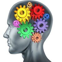 Triangle Neuropsychology Services
