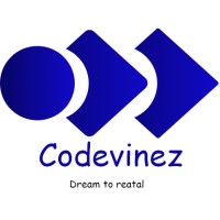 CodeVinez Solutions logo - Similar company to Kartick It Solutions