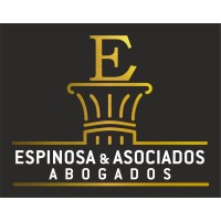 Espinosa & Asociados Abogados logo - Similar company to Gonext