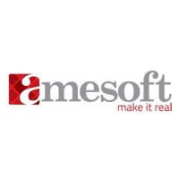 Amesoft logo - Similar company to Ame Softsol