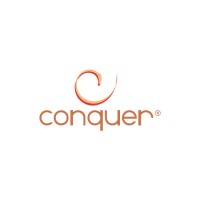 Conquer Technologies logo - Similar company to Brilyant