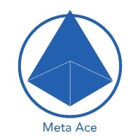 MetaACE logo - Similar company to Nexix Security Labs