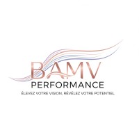 BAMV PERFORMANCE logo - Similar company to Régie Mouton