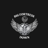 Big Fortress Down logo - Similar company to Coding Lab Bd