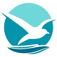 Seagulls TCMS logo - Similar company to Chartbrok
