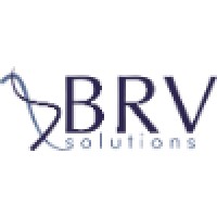 BRV Soluciones logo - Similar company to Amplifica 📢 Seo Mallorca