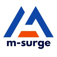 m-surge logo - Similar company to Clear Thoughts Foundation