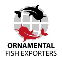 Ornamental Fish Exporters Directory logo - Similar company to Koi Fish