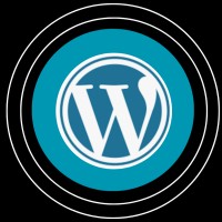 Website Developer logo - Similar company to Developer Khaled Musarraf