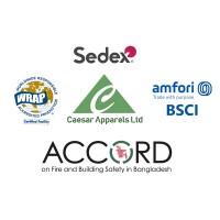 Caesar Group logo - Similar company to Techmedia