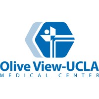 Olive View-UCLA Medical Center logo - Similar company to Delete The Divide