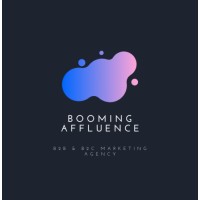 Booming Affluence logo - Similar company to Freelance Business Development