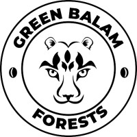 Green Balam Forests logo - Similar company to Earth Brigade Foundation