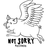 Not Sorry Records logo - Similar company to Eventflotte