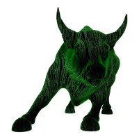 BitBull Capital logo - Similar company to Gamespad